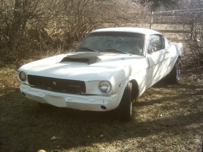 Mustang 1.JPG